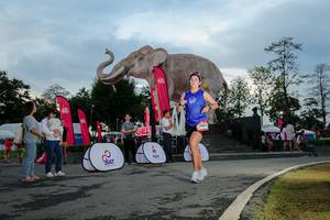 BIB: 
                            <button type="button" onclick="openModal(26529409)" class="btn btn-primary btn-sm float-right btn-popup" data-toggle="modal" data-target=".modal-high-quality">
                        <i class="fas fa-shopping-cart"></i> Add to Cart
                    </button>
                                            <button type="button" onclick="isThisMe(26529409, true)" class="btn btn-success btn-sm float-right btn-popup btn-isme hidden" data-toggle="tooltip" data-placement="bottom" title="นี่คือรูปของคุณใช่ไหม คลิกที่นี่เพื่อเอาเข้าอัลบั้ม">
                        <i class="fas fa-plus"></i> Add to album
                    </button>
                    <button type="button" onclick="isThisMe(26529409, false)" class="btn btn-warning btn-sm float-right btn-popup btn-isnotme hidden">
                        <i class="fas fa-ban"></i> Remove from album
                    </button>